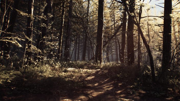 Blair Witch İndir ekran görüntüsü 4