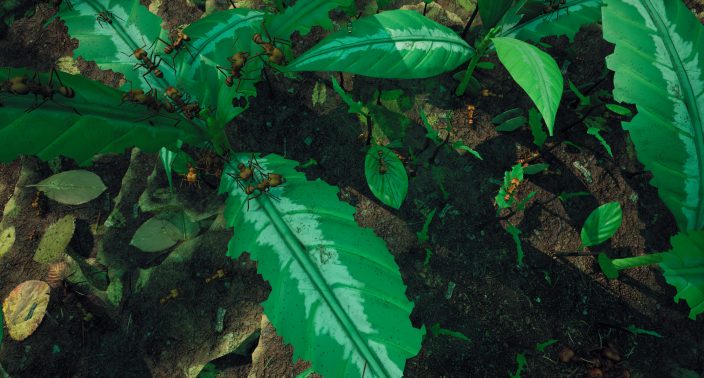 Empires of the Undergrowth İndir ekran görüntüsü 4