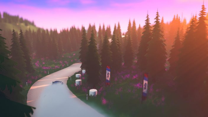 art of rally İndir ekran görüntüsü 4