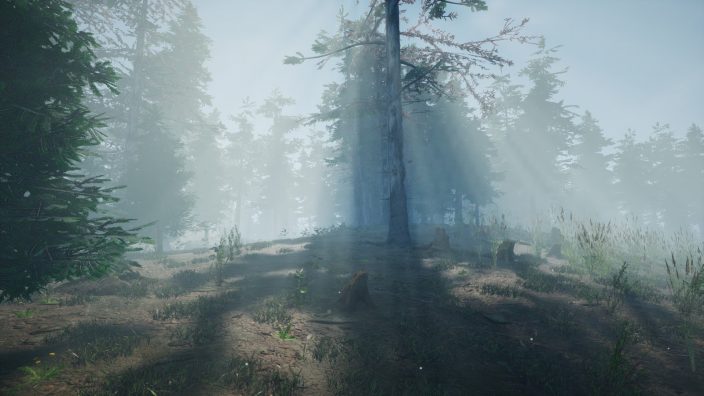 Mushroom Picker Simulator İndir ekran görüntüsü 3