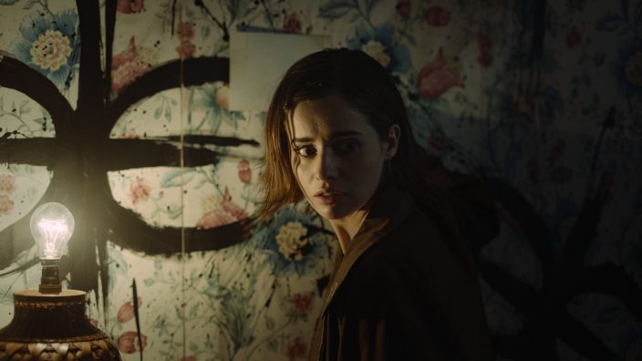 Erica İndir ekran görüntüsü 3