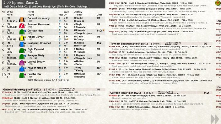 Starters Orders 7 Horse Racing İndir ekran görüntüsü 3