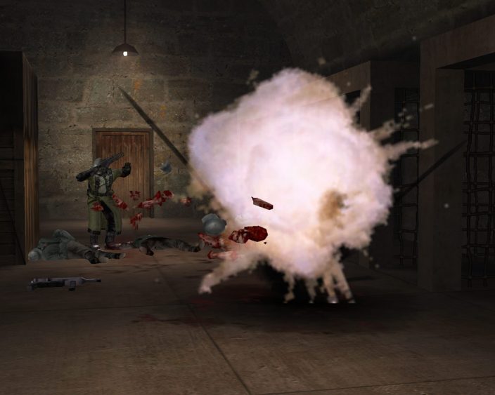 Return to Castle Wolfenstein İndir ekran görüntüsü 5