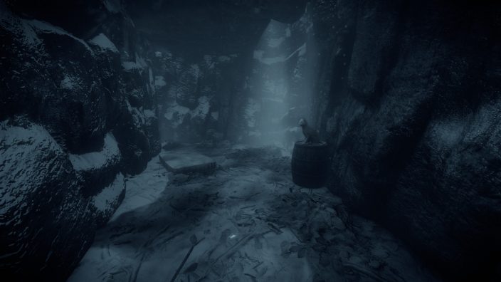 ShadowSide İndir ekran görüntüsü 3