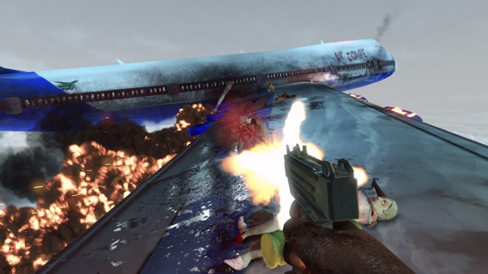 Zombies On A Plane İndir ekran görüntüsü 2