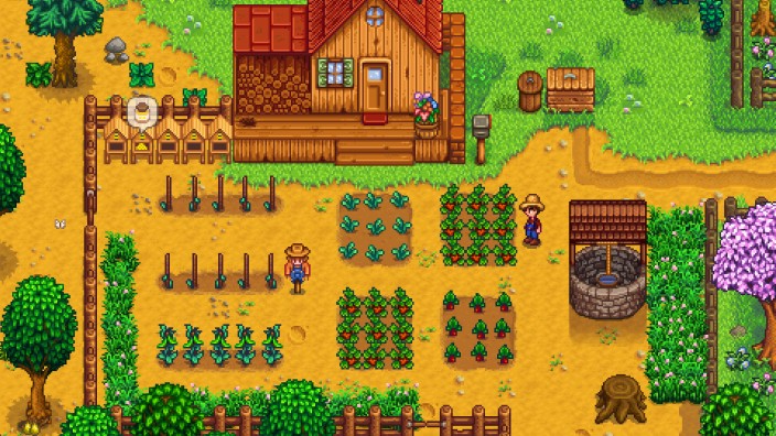 Stardew Valley İndir ekran görüntüsü 1
