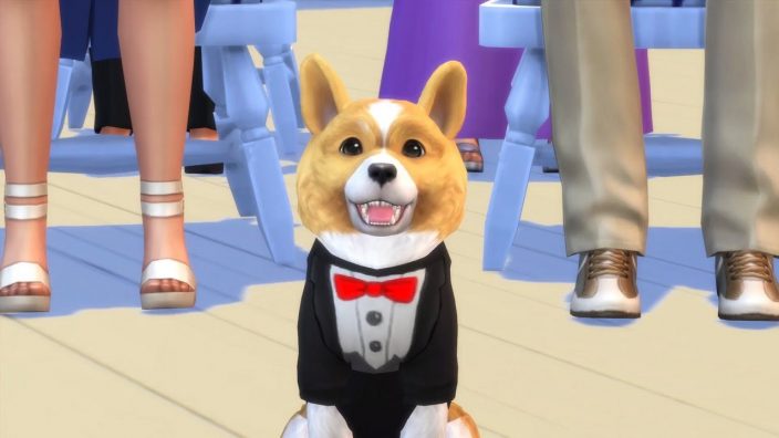 The Sims 4 Cats & Dogs İndir ekran görüntüsü 3
