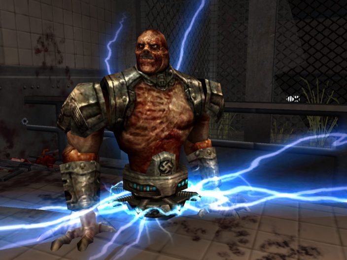 Return to Castle Wolfenstein İndir ekran görüntüsü 6