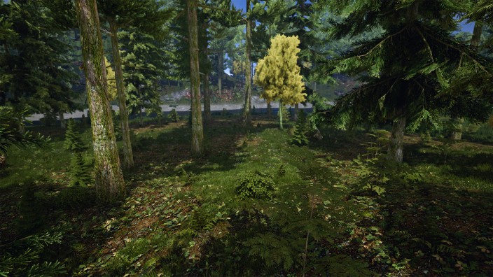 Demesne İndir ekran görüntüsü 2