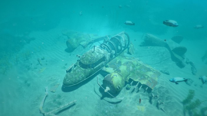 World of Diving İndir ekran görüntüsü 6