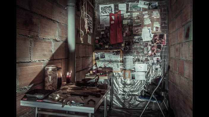 The Fan İndir ekran görüntüsü 4