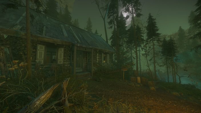 The Cursed Forest İndir ekran görüntüsü 6