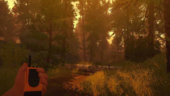 Firewatch İndir ekran görüntüsü 2