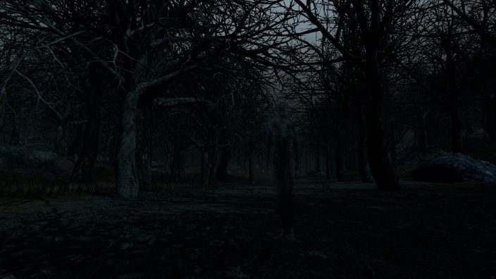 Witch Hunt İndir ekran görüntüsü 1