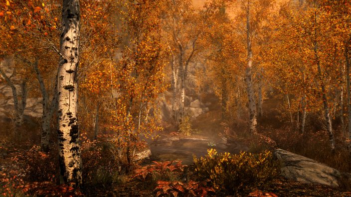The Elder Scrolls V: Skyrim Special Edition İndir ekran görüntüsü 3