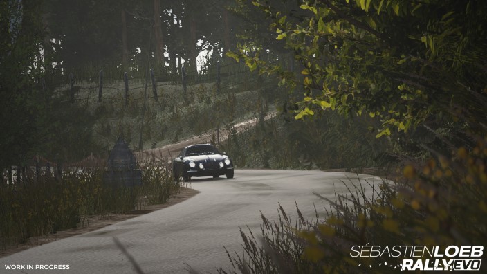 Sébastien Loeb Rally EVO + DLC Paketi İndir ekran görüntüsü 3