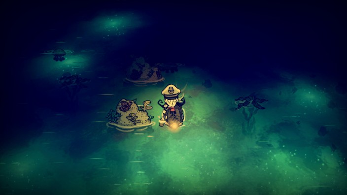 Don’t Starve: Shipwrecked İndir ekran görüntüsü 4