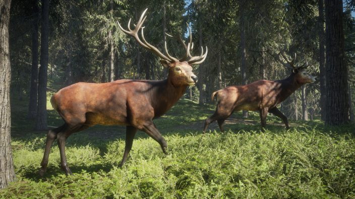 theHunter: Call of the Wild™ İndir ekran görüntüsü 2