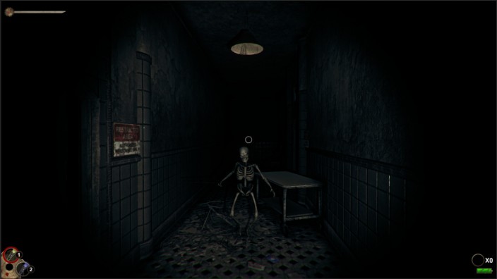 Horror in the Asylum İndir ekran görüntüsü 3