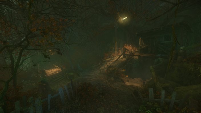 The Cursed Forest İndir ekran görüntüsü 3
