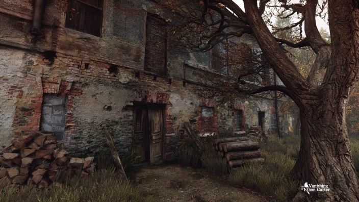 The Vanishing of Ethan Carter Redux İndir ekran görüntüsü 5