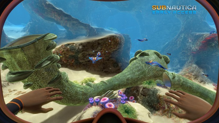 Subnautica İndir ekran görüntüsü 5