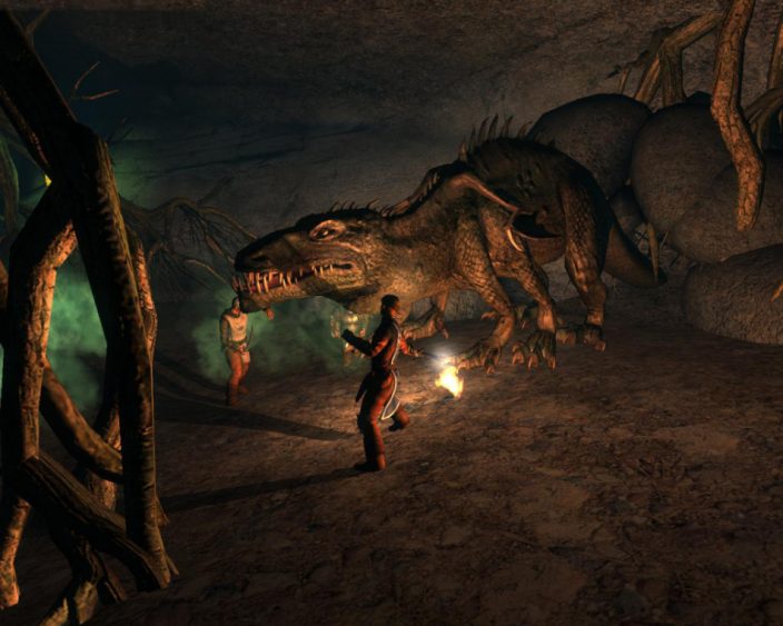 Drakensang: The Dark Eye İndir ekran görüntüsü 4
