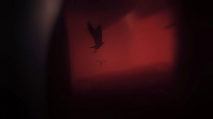Rise of Insanity İndir ekran görüntüsü 2