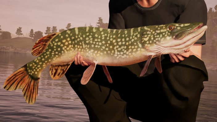 Fishing Sim World İndir ekran görüntüsü 4