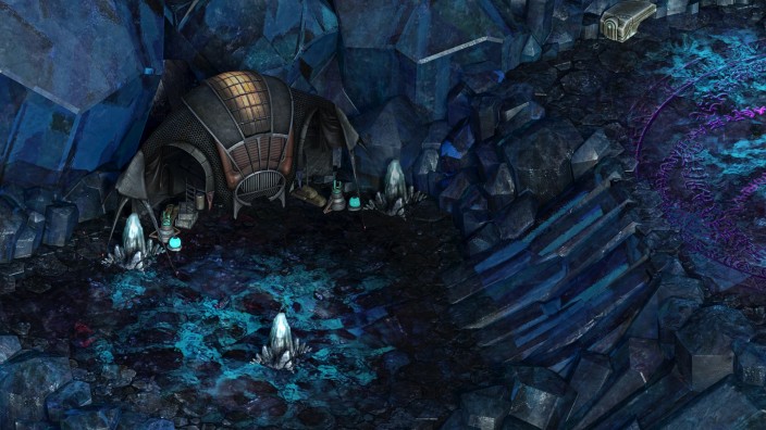 Torment: Tides of Numenera İndir ekran görüntüsü 5