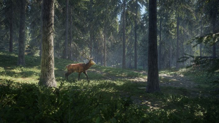 theHunter: Call of the Wild™ İndir ekran görüntüsü 6