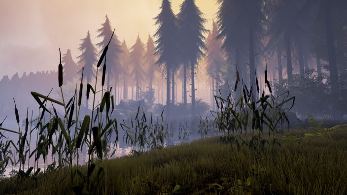 Finding Bigfoot İndir ekran görüntüsü 2