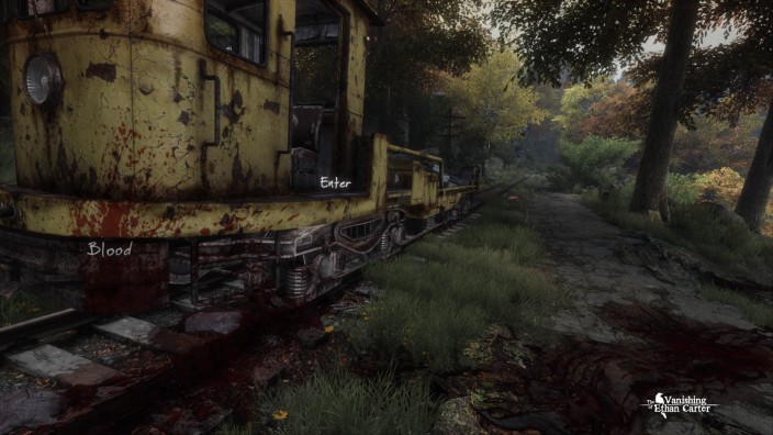 The Vanishing of Ethan Carter Redux İndir ekran görüntüsü 3