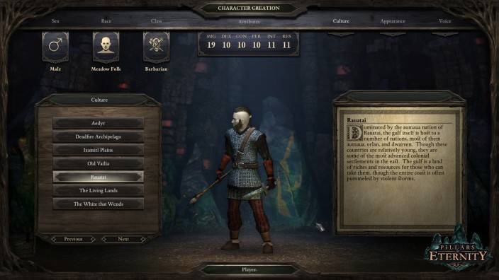 Pillars Of Eternity İndir ekran görüntüsü 6