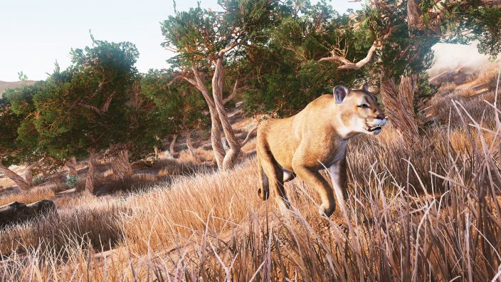 Hunting Simulator İndir ekran görüntüsü 6
