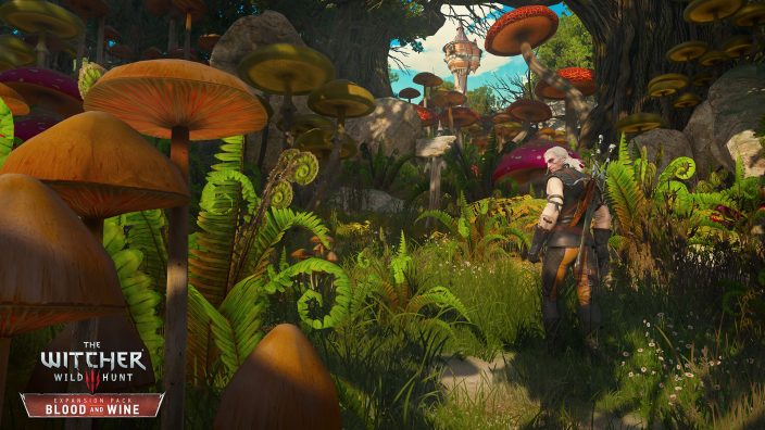 The Witcher 3: Wild Hunt – Blood and Wine İndir ekran görüntüsü 5