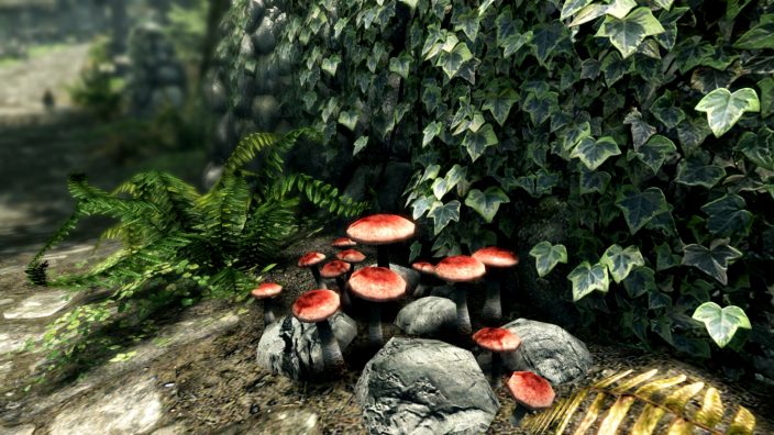 The Elder Scrolls V: Skyrim Special Edition İndir ekran görüntüsü 6