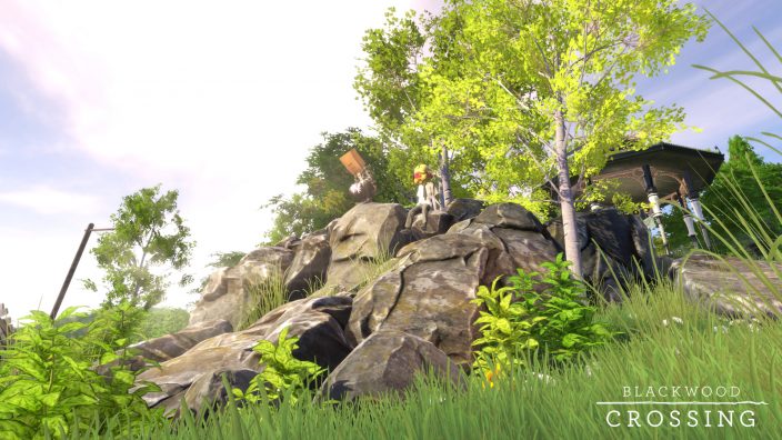Blackwood Crossing İndir ekran görüntüsü 3