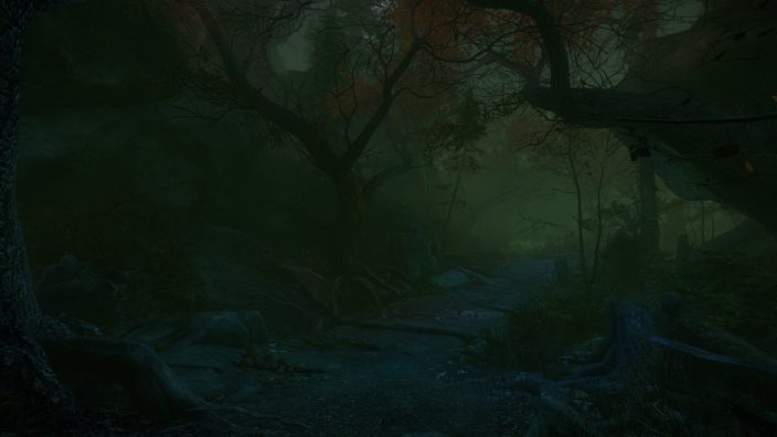 The Cursed Forest İndir ekran görüntüsü 1