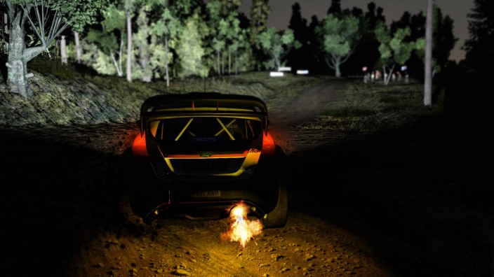 WRC 5 FIA World Rally Championship İndir İndir ekran görüntüsü 3