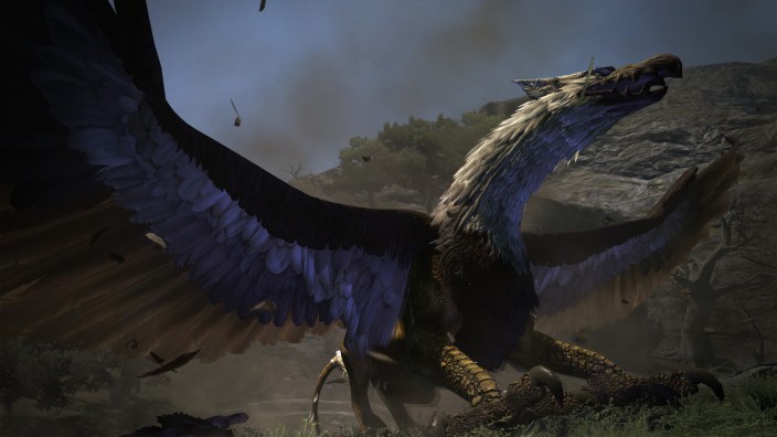 Dragon’s Dogma: Dark Arisen İndir ekran görüntüsü 2