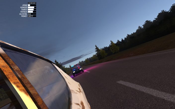 My Summer Car İndir ekran görüntüsü 5
