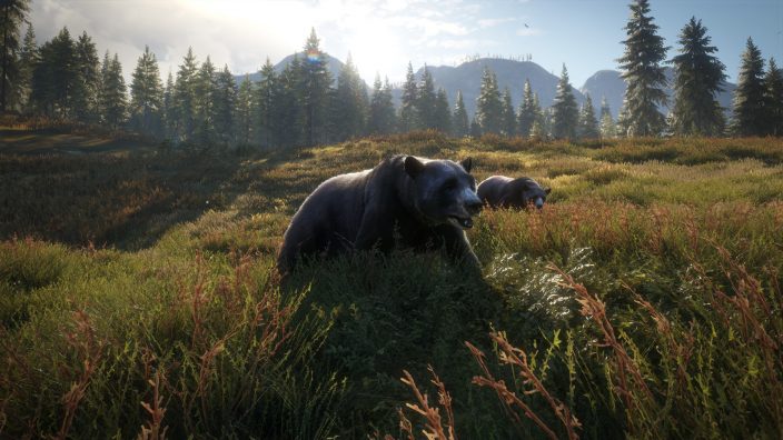 theHunter™: Call of the Wild – ATV İndir ekran görüntüsü 3
