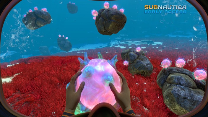 Subnautica İndir ekran görüntüsü 3