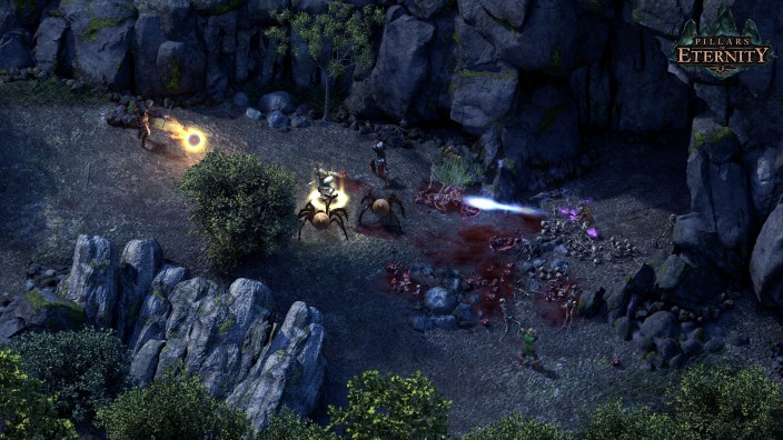 Pillars Of Eternity İndir ekran görüntüsü 5