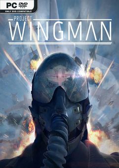 Project Wingman İndir kapak görseli
