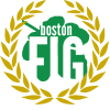 BostonFIGforSteamSmall