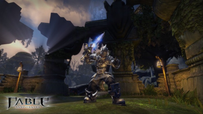 Fable Anniversary İndir ekran görüntüsü 6