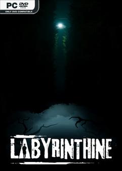 Labyrinthine İndir kapak görseli