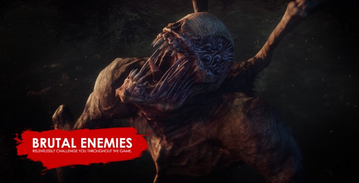 Lichdom: Battlemage İndir ekran görüntüsü 2